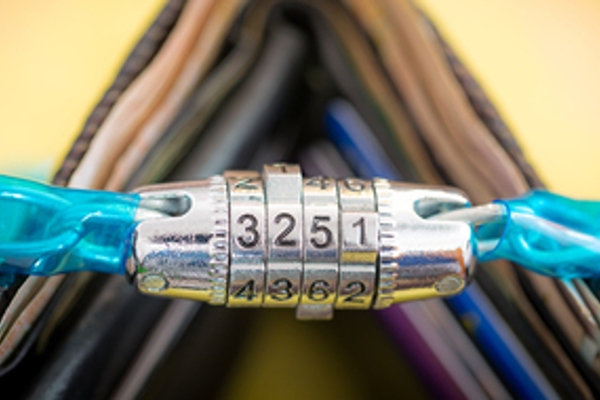 What is adjusted net income?